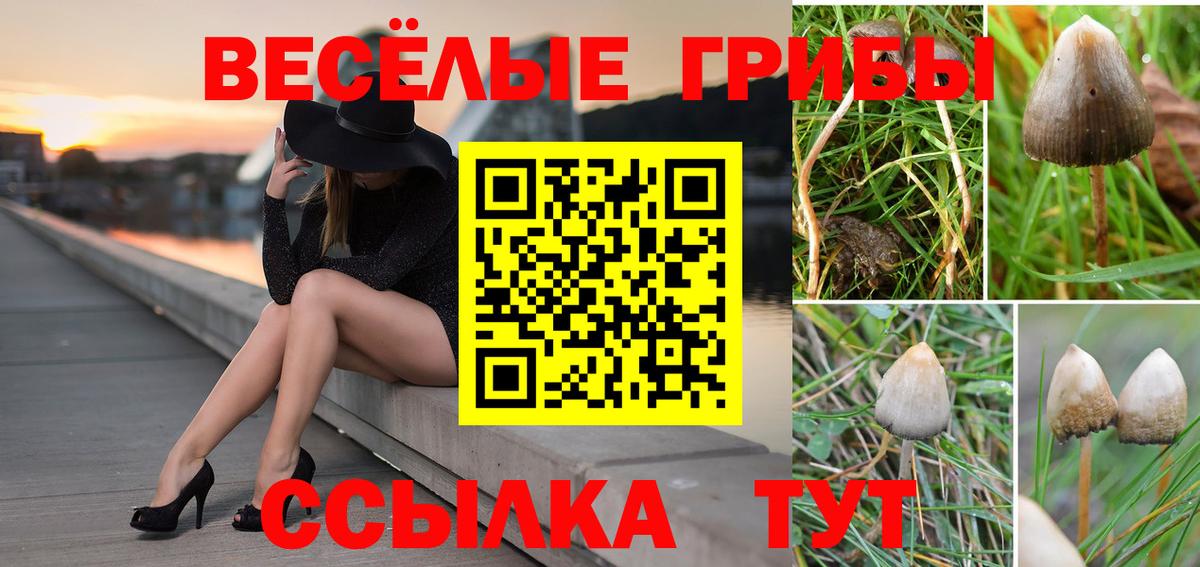 Галлюциногенные грибы MAGIC MUSHROOMS Обнинск