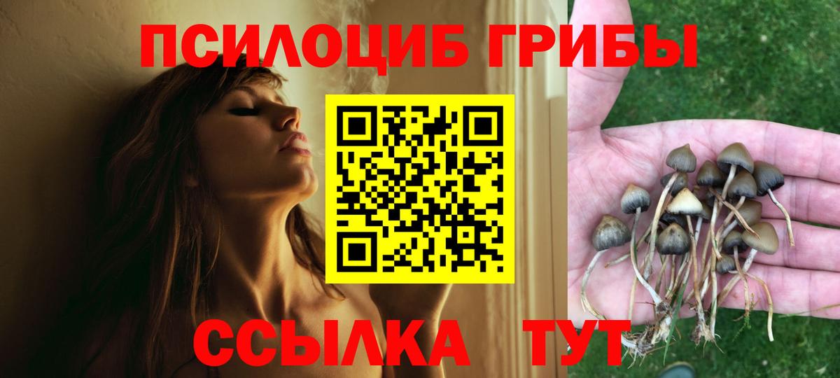 Обнинск  Псилоцибиновые грибы мухоморы  Вход с VPN 